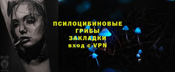 круглые Алзамай