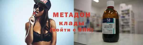 индика Алексин