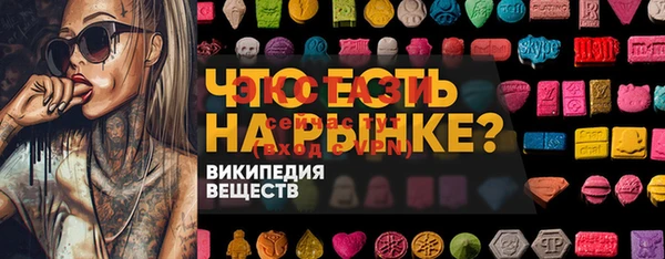 индика Алексин