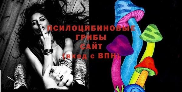 индика Алексин
