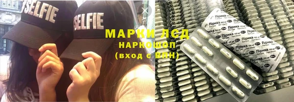 индика Алексин