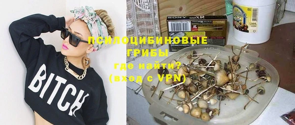 мяу мяу мука Абдулино