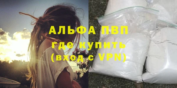 индика Алексин