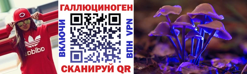 наркошоп  Оса  Псилоцибиновые грибы мухоморы 